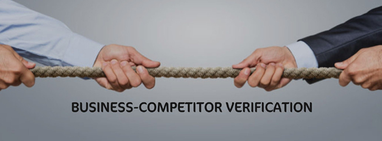 Business Competitor Investigation